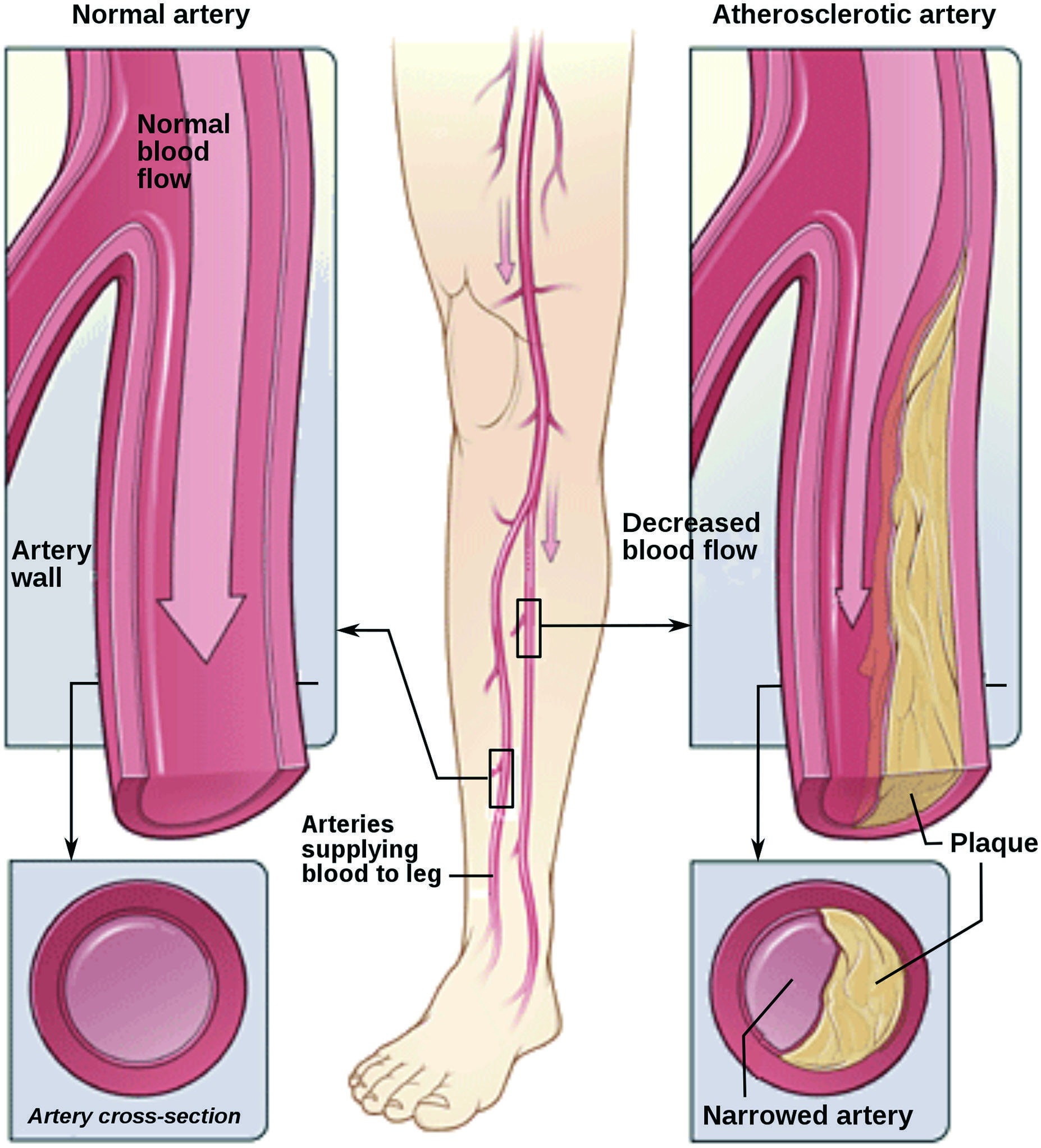 Cover image of the article